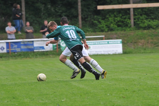 伊万重视的 伊万重视的