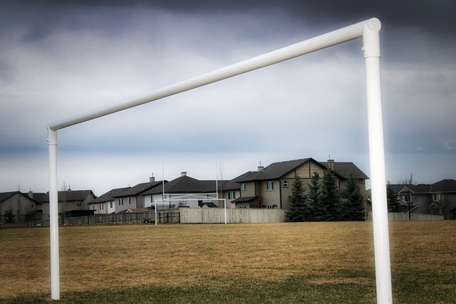 暗示和坚定 暗示和坚定