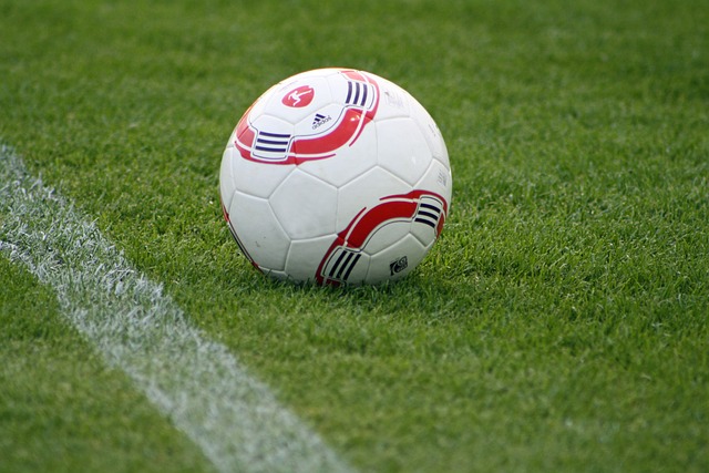 希望相关方 希望相关方