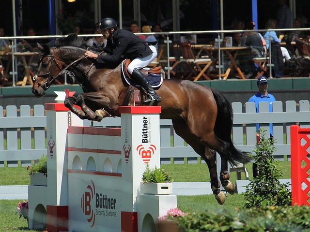 面对观众的 面对观众的