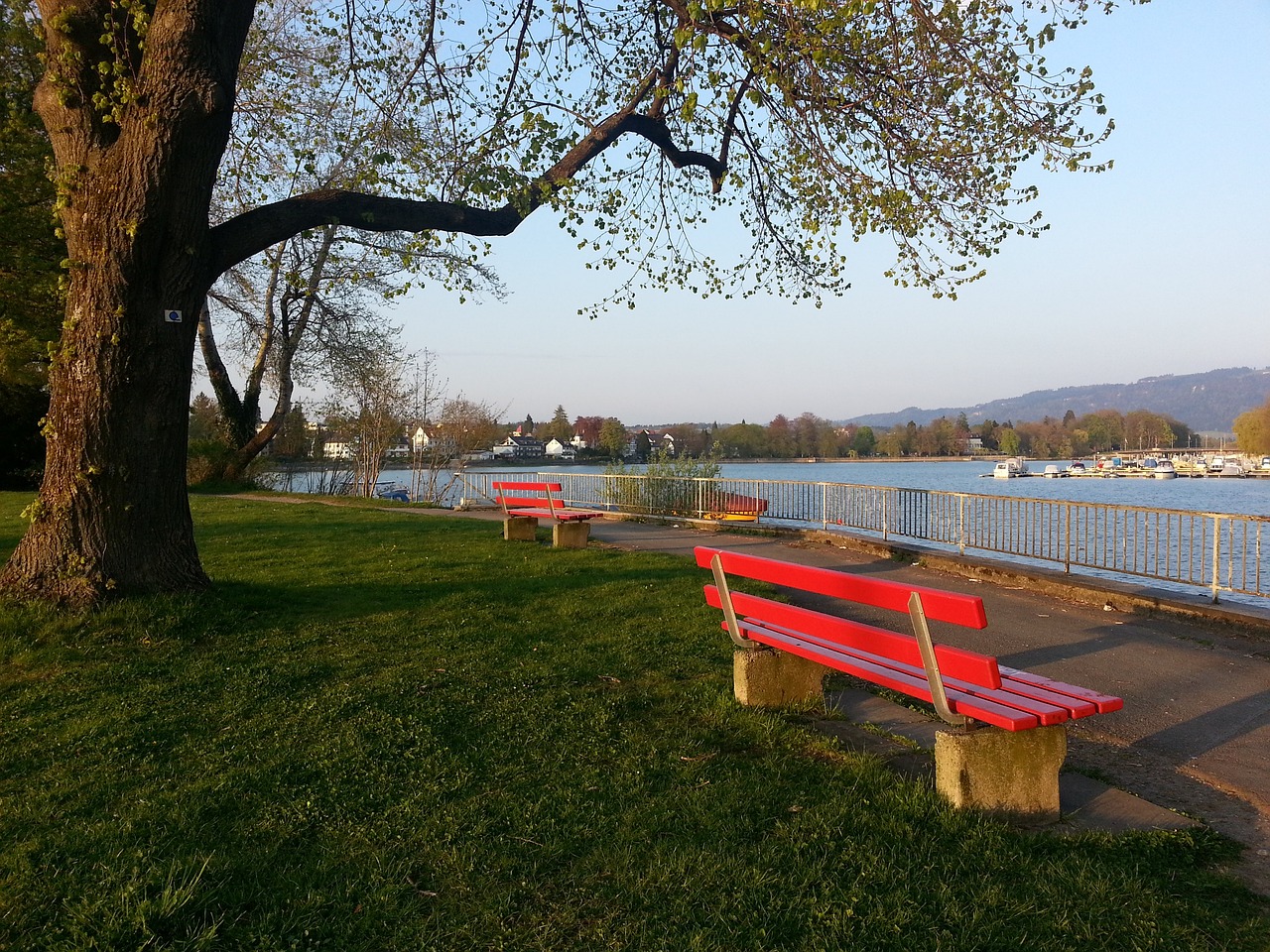 队内几位关 队内几位关