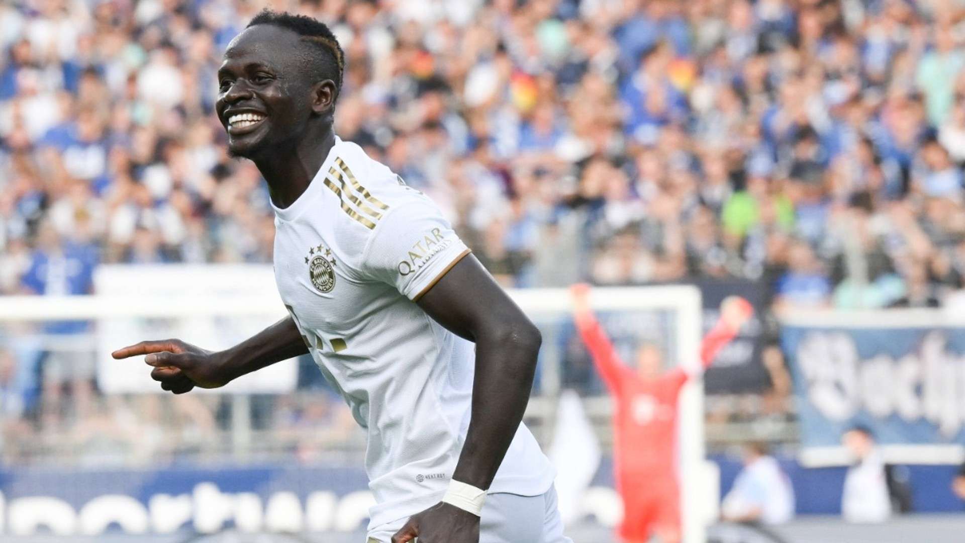 布里依然是 布里依然是