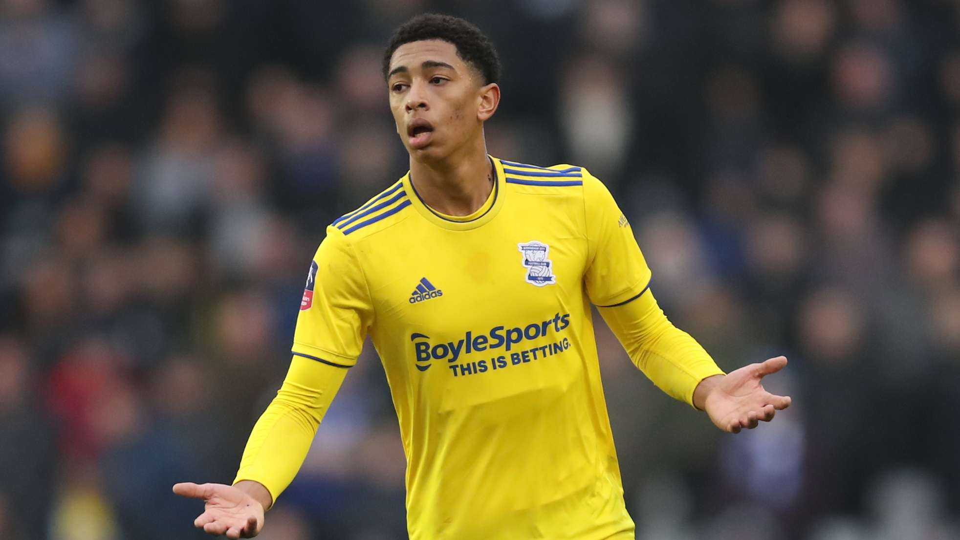 年的世界杯 年的世界杯