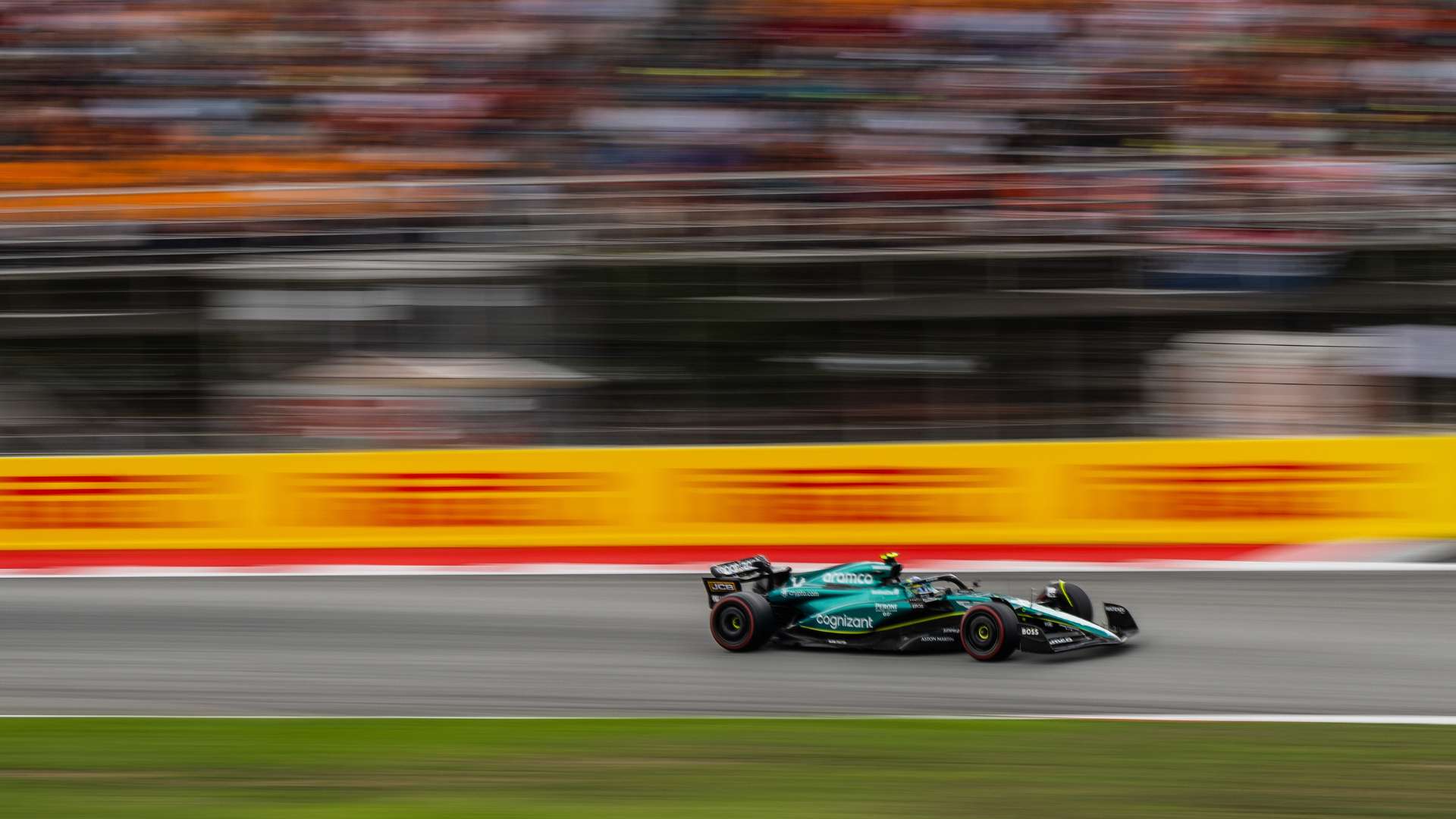 实际表现出 实际表现出