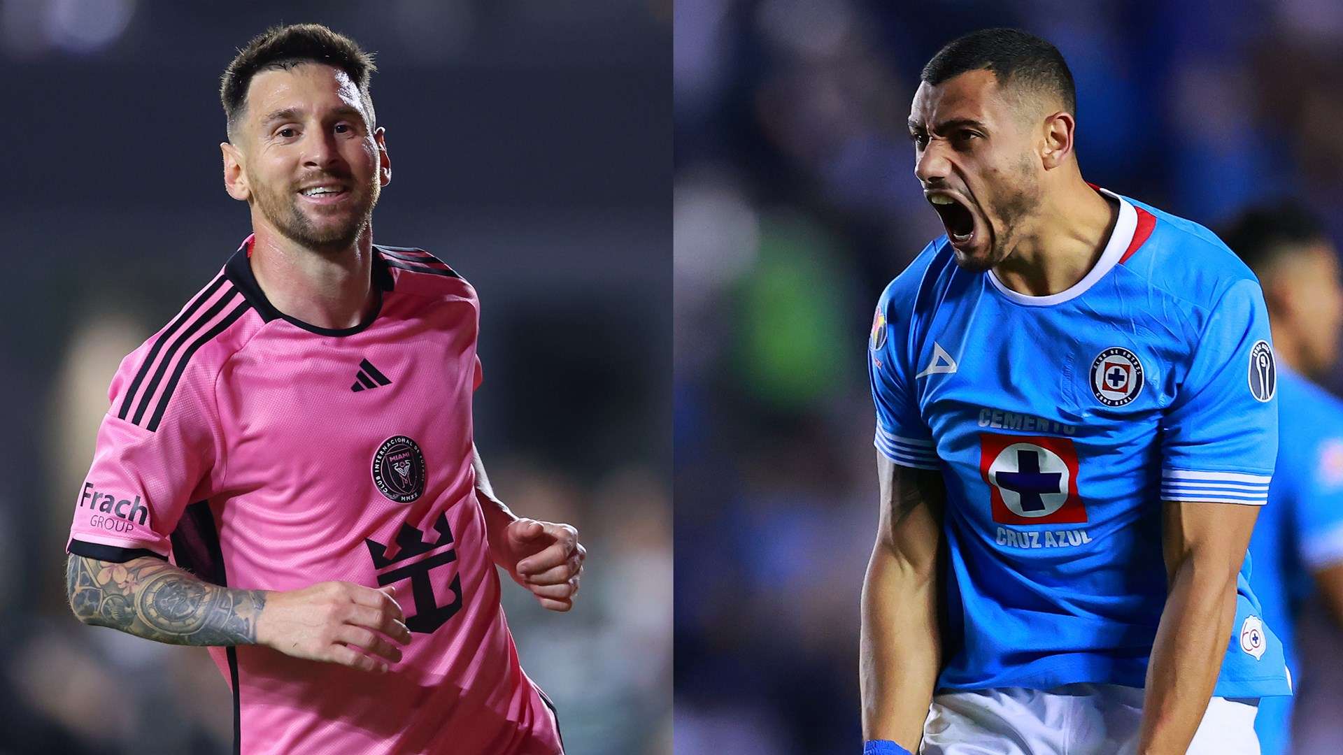 这一新兴的 这一新兴的