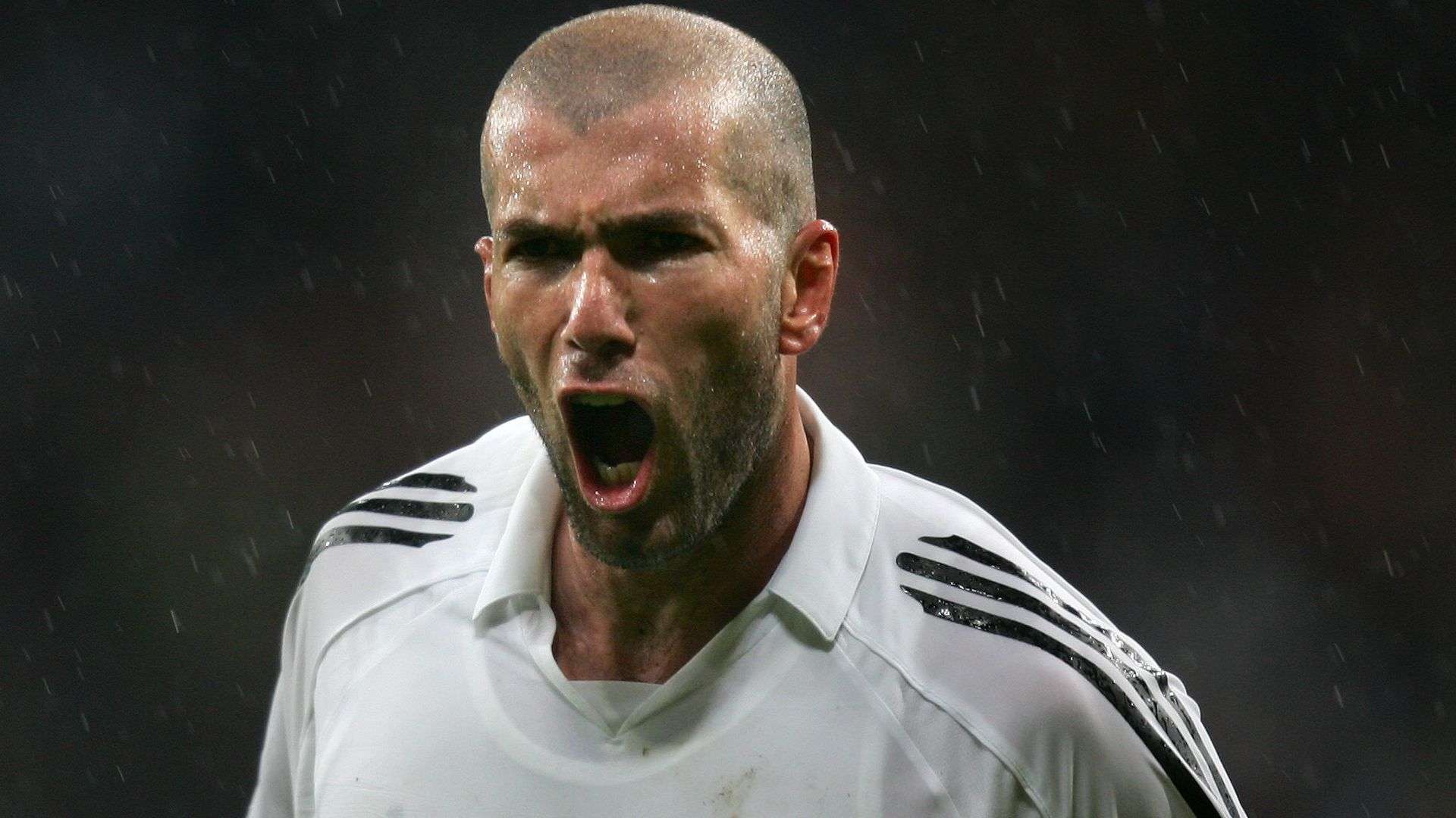 发现拥有优 发现拥有优