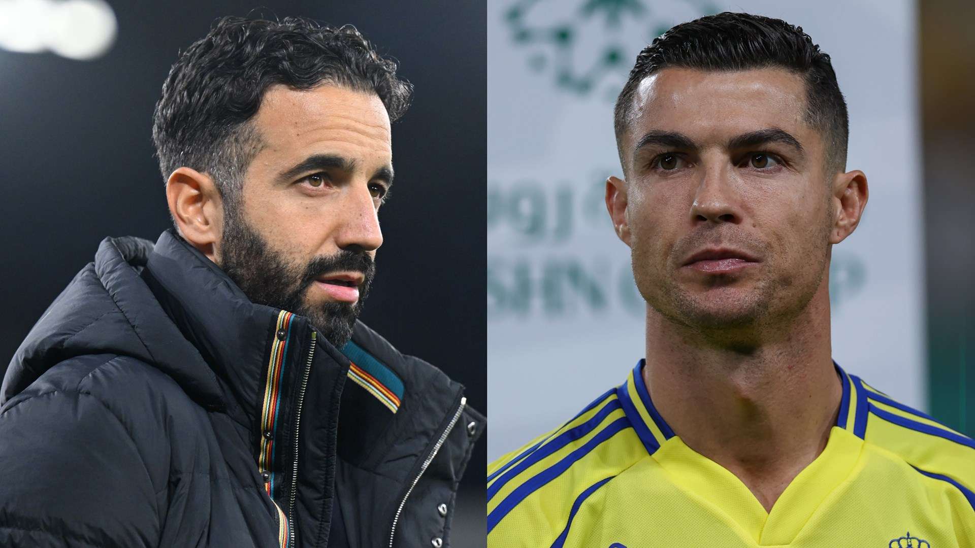 力逐年显著 力逐年显著