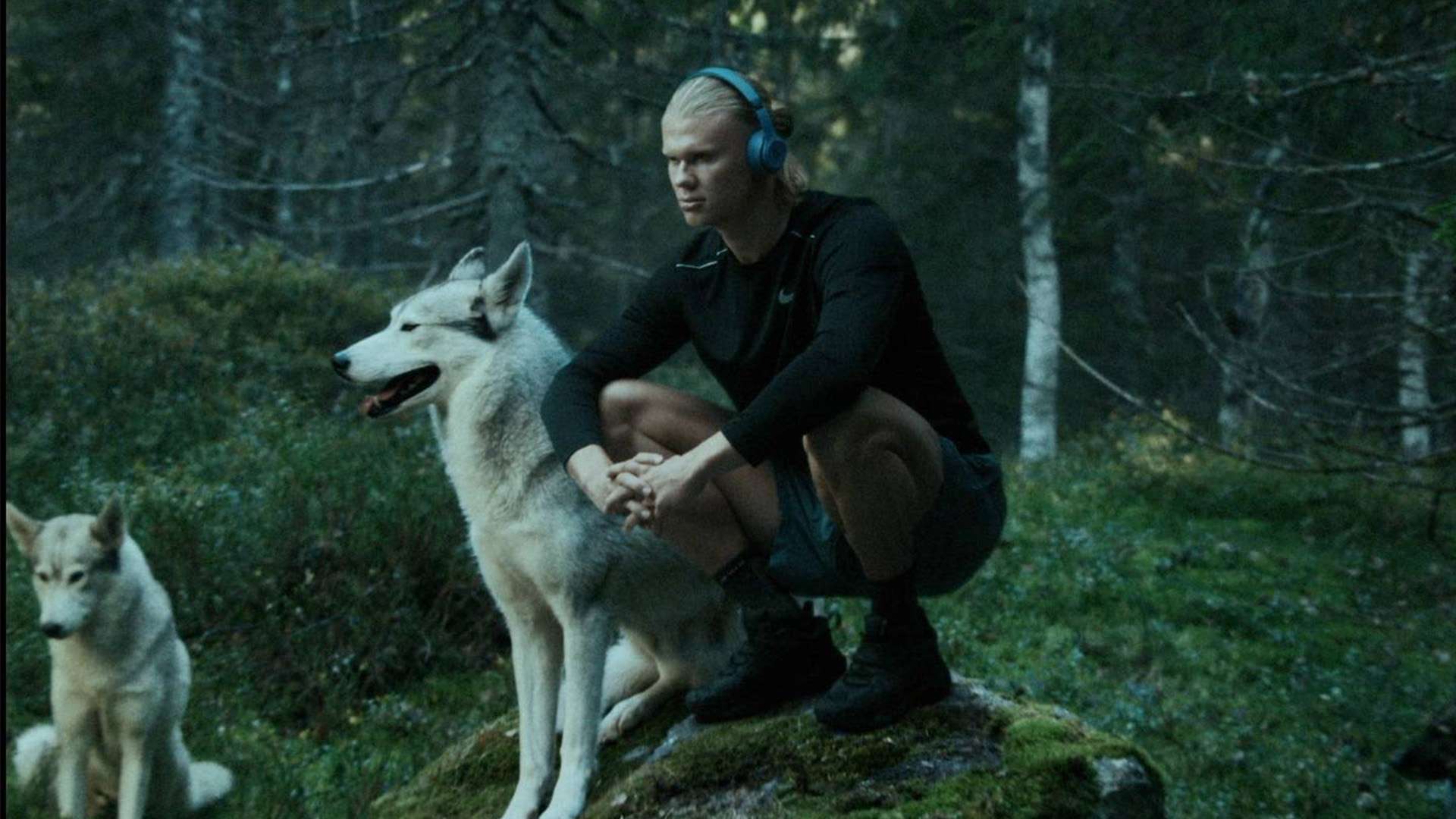 徐傑的表現 徐傑的表現